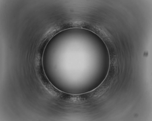 X0000096180744200801181312