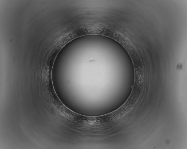 X0000096180745200801181312