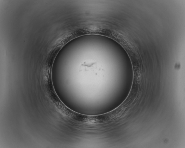 X0000096180746200801181312
