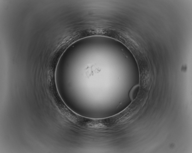 X0000096180747200801181312