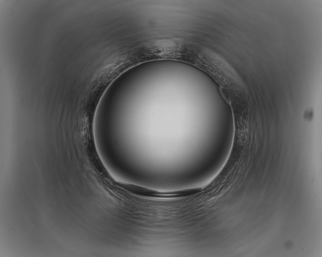 X0000096180748200801181312