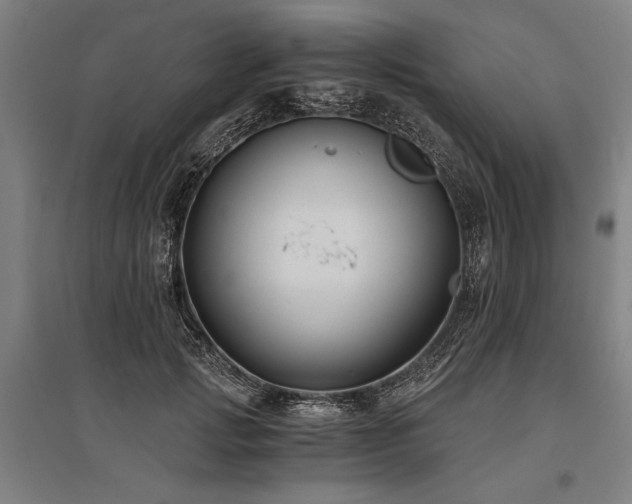 X0000096180749200801181312