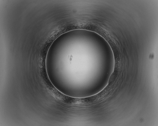 X0000096180750200801181312