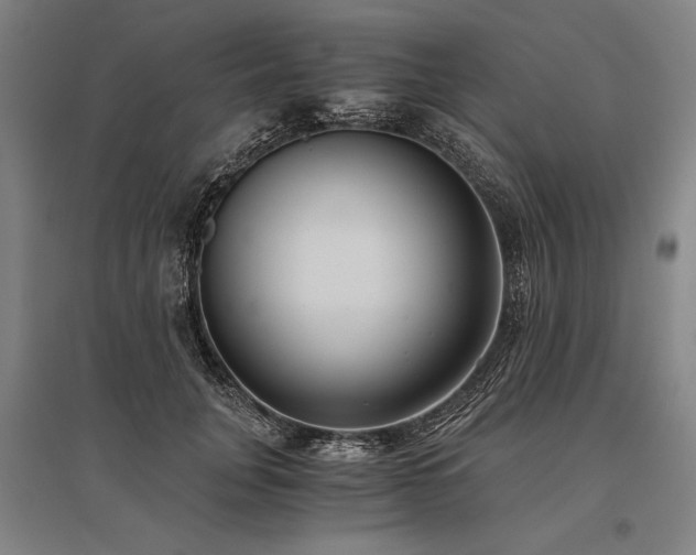 X0000096180751200801181312