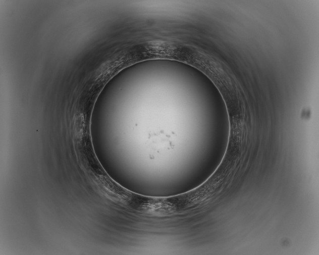 X0000096180752200801181312