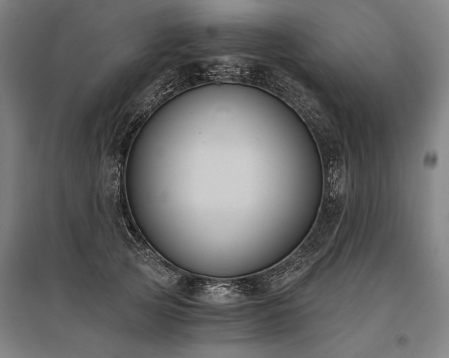 X0000096180753200801181312