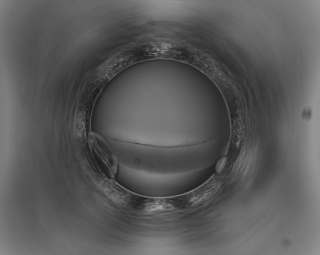 X0000096180754200801181312