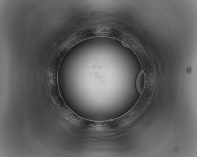 X0000096180755200801181312