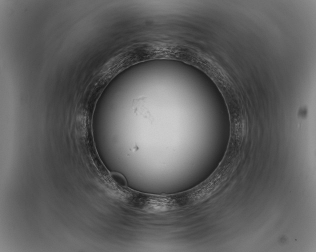 X0000096180757200801181312
