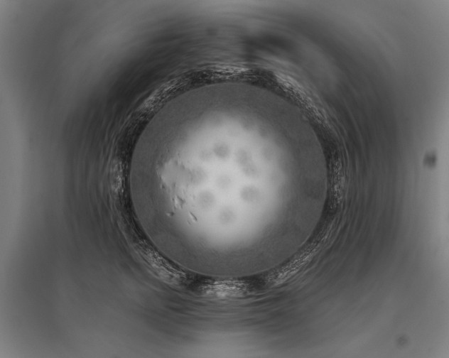X0000096180758200801181312