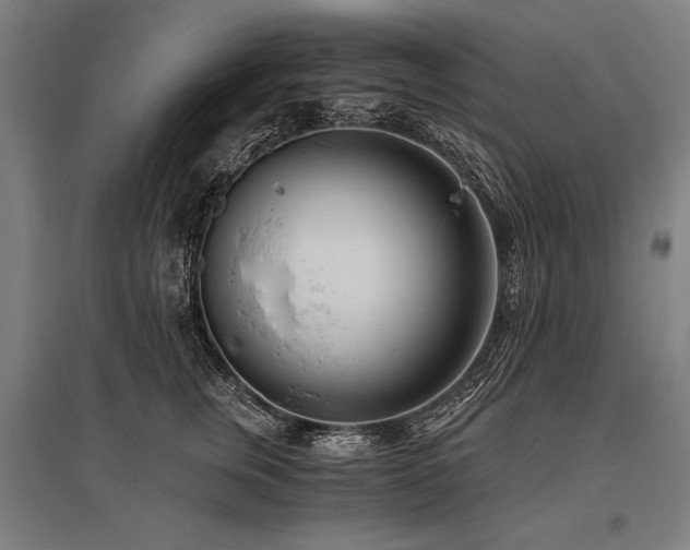 X0000096180759200801181312