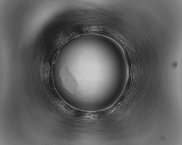 X0000096180760200801181312