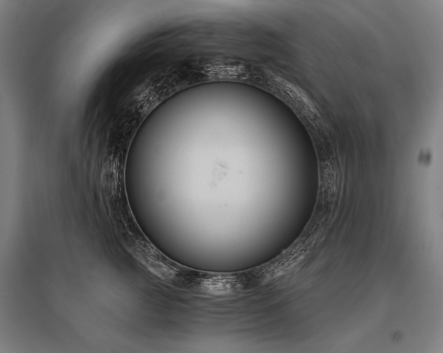 X0000096180761200801181312