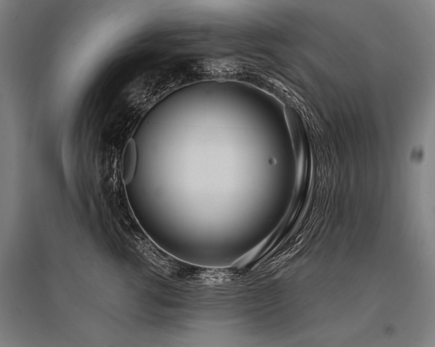 X0000096180762200801181312