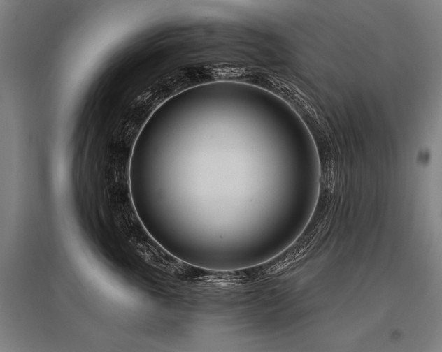 X0000096180763200801181312