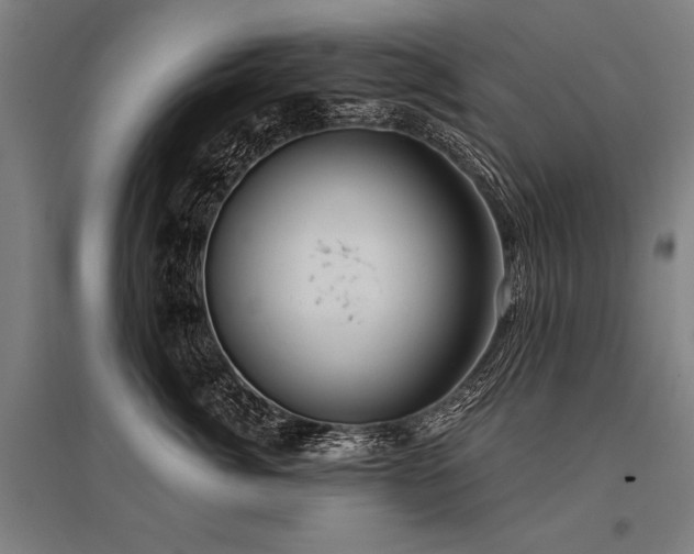 X0000096180764200801181312