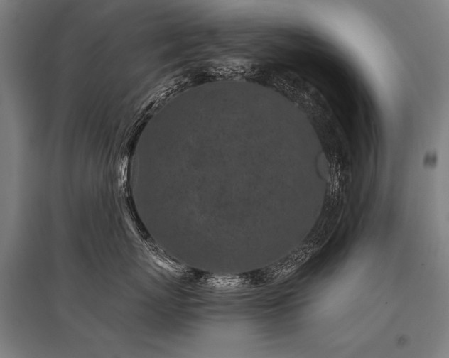 X0000096180767200801181312