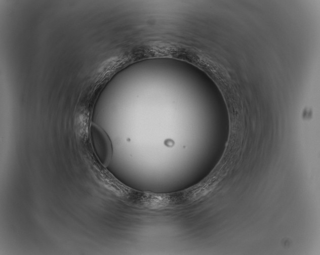 X0000096180768200801181312