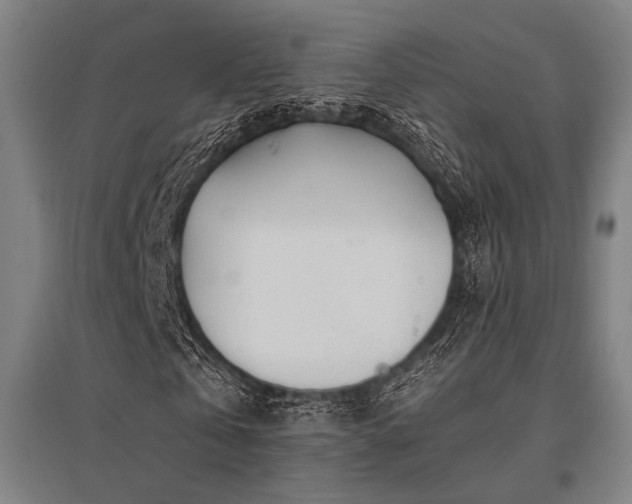 X0000096180769200801181311