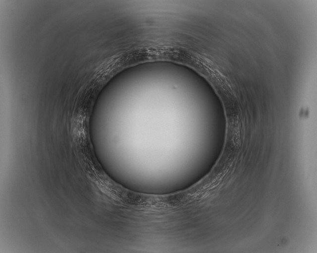 X0000096180770200801181311