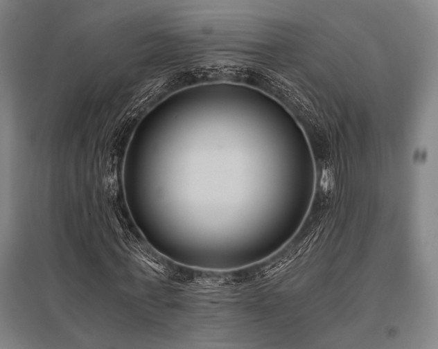 X0000096180771200801181311