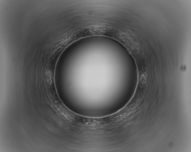 X0000096180772200801181311