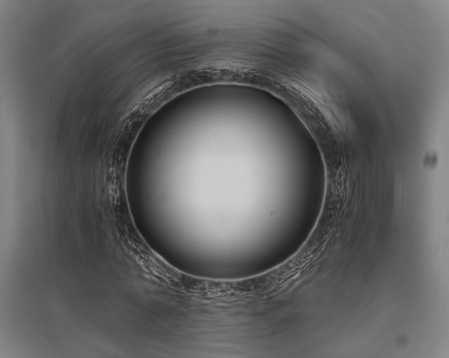 X0000096180774200801181311