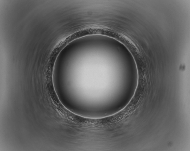 X0000096180775200801181311