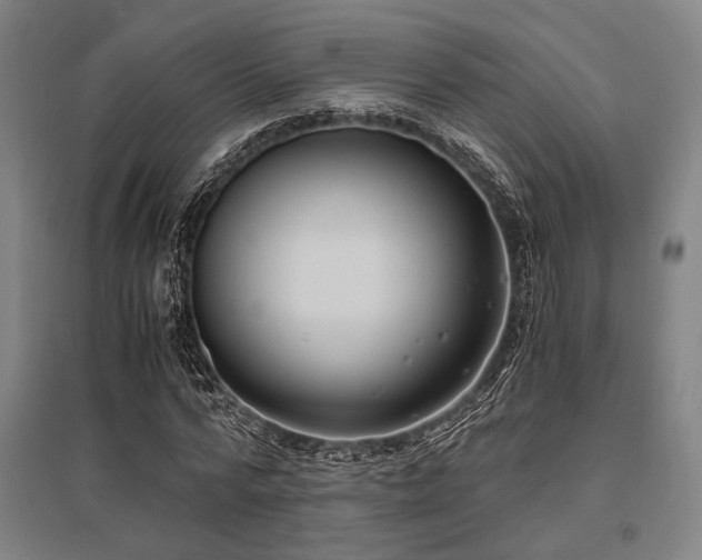X0000096180776200801181311
