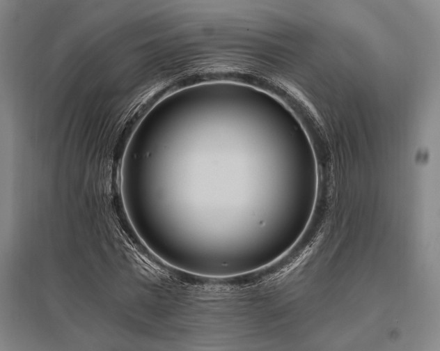 X0000096180777200801181311