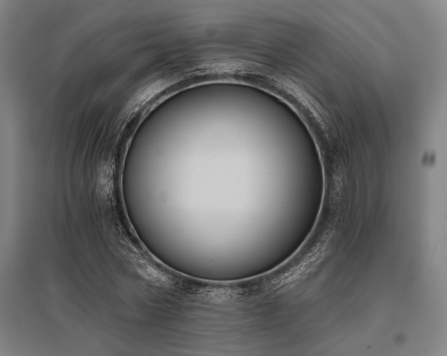 X0000096180778200801181311