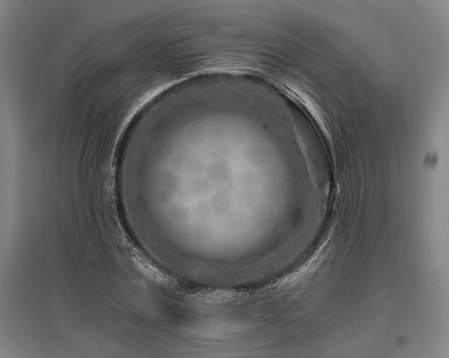 X0000096180779200801181311