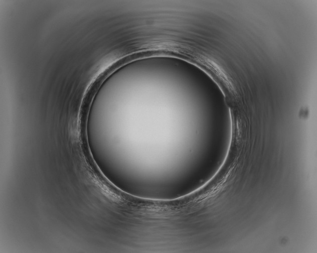 X0000096180780200801181311