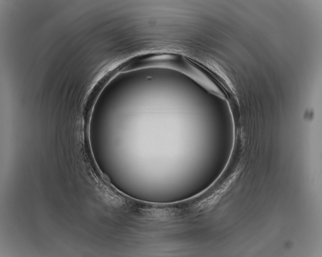 X0000096180781200801181311