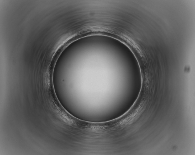 X0000096180782200801181311
