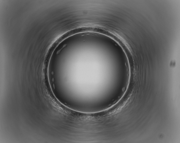X0000096180783200801181311