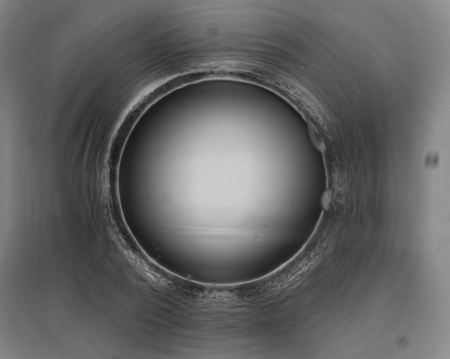 X0000096180784200801181311