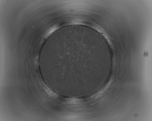 X0000096180785200801181311