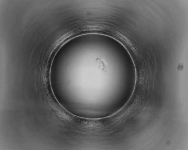 X0000096180786200801181311