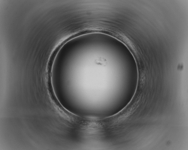 X0000096180787200801181311