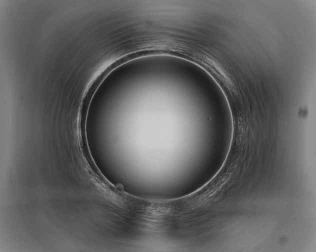 X0000096180788200801181311