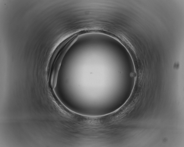 X0000096180789200801181311