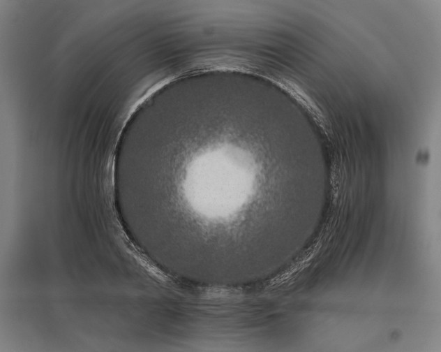 X0000096180790200801181311
