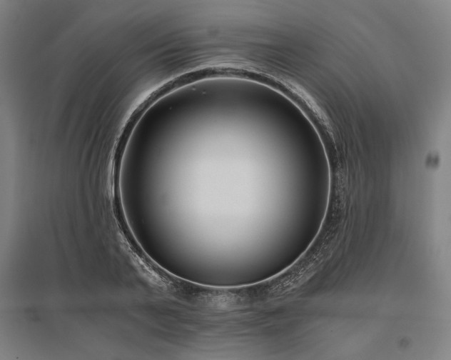 X0000096180791200801181311