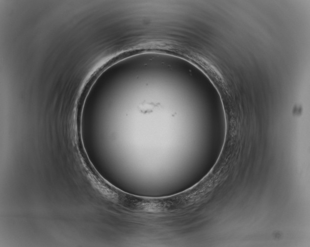 X0000096180792200801181311