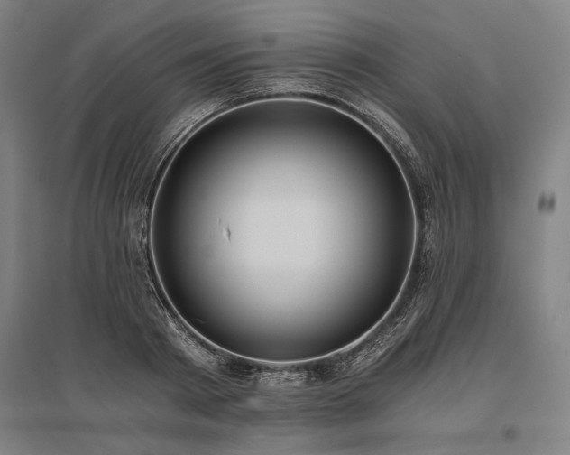 X0000096180793200801181311