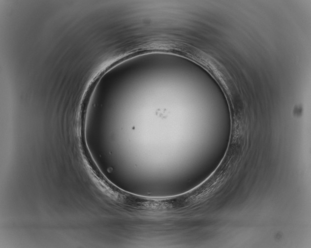 X0000096180795200801181311