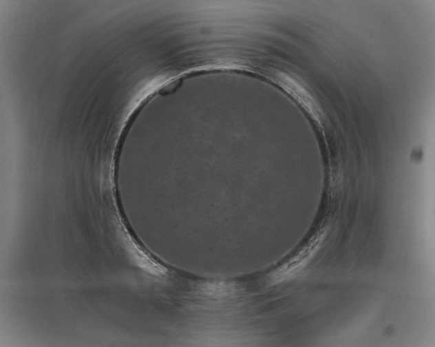 X0000096180797200801181311