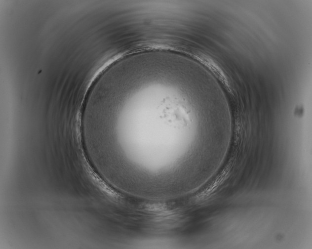 X0000096180798200801181311