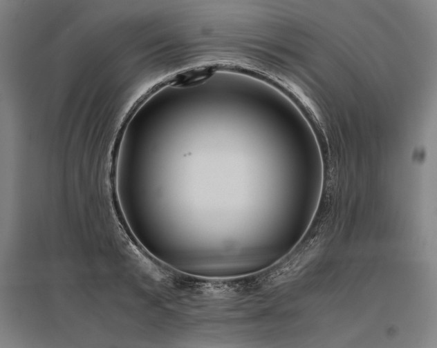 X0000096180799200801181311